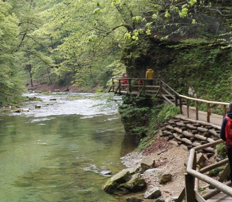 Vintgar kloof in Slovenie